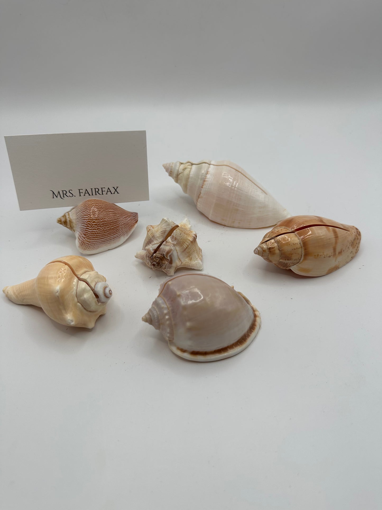Natural sea shell place card holders arranged with a place card sample
