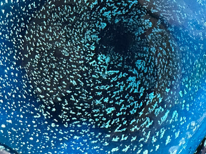 Macro close-up of the blue glass showing dense controlled bullicante bubbles.