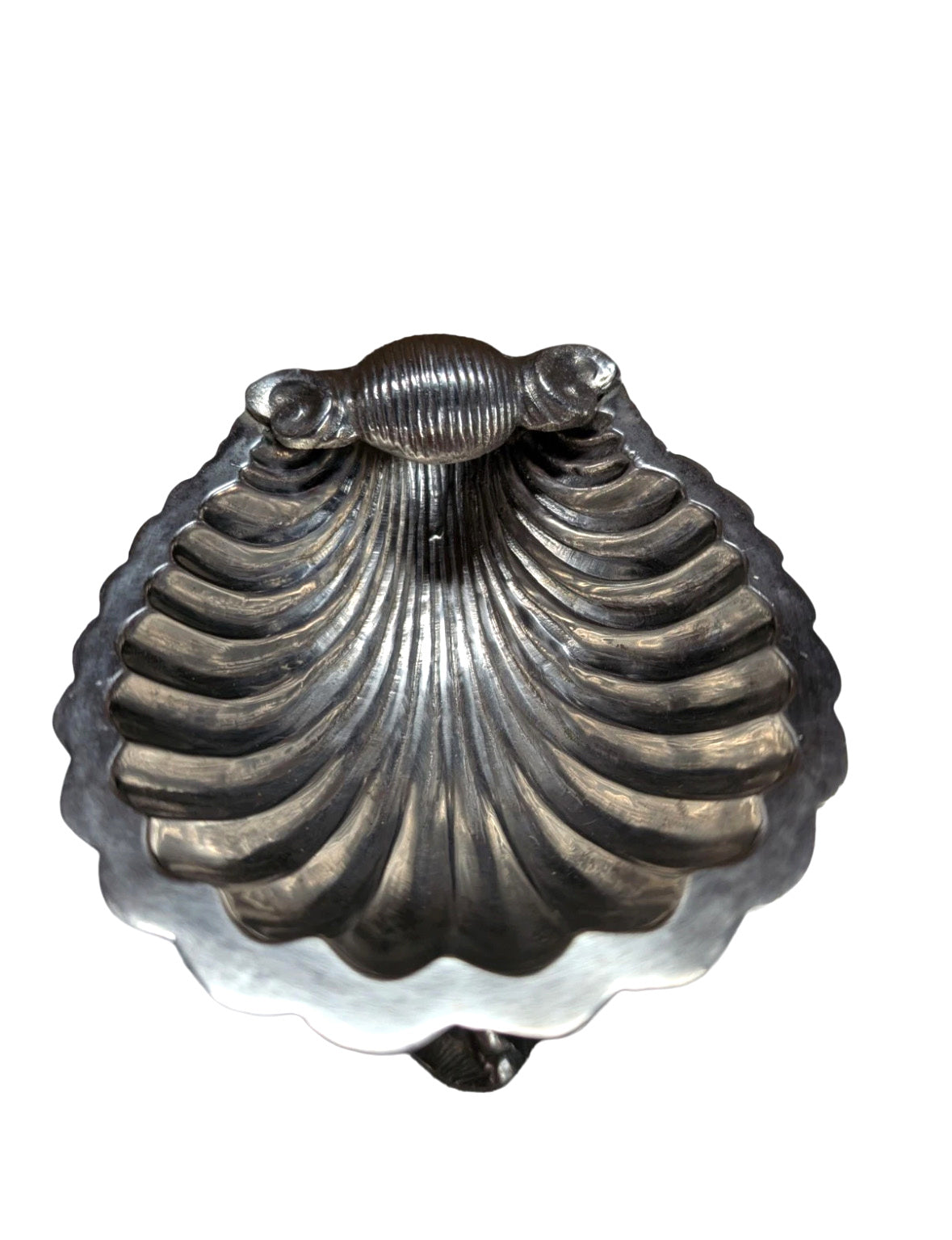 Victorian silver plate caviar dish, close-up of ribbed scallop-shell bowl with hinge detail