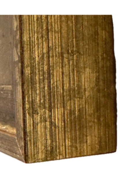 Close-up of gilt wood frame's outer edge showing vertical wood grain