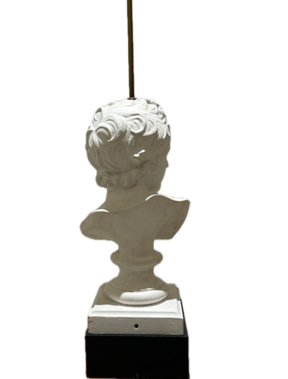 Rear view of the plaster youth bust showing curled hair, mounted on a black plinth