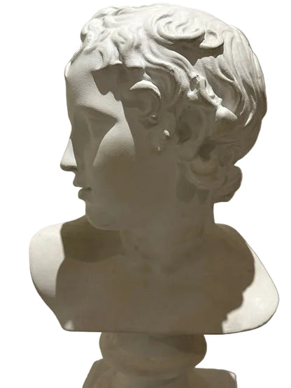 Profile close-up of the plaster Greco-Roman youth bust with detailed sculpted curls