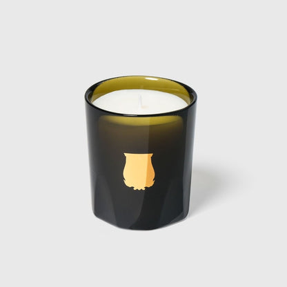 Trudon Ernesto petite candle in dark green glossy glass with gold crest emblem and white wax.