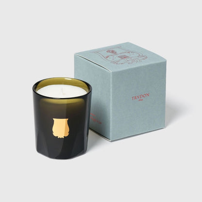Trudon Ernesto green-glass candle beside its pale blue-grey gift box printed 'Trudon 1643'.