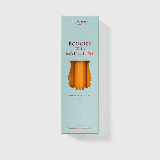 Trudon Madeleine Mimosa box in pale blue with amber taper candles shown through the cutout, 6 candles