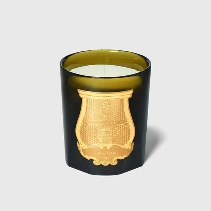 Trudon Ernesto candle in dark olive-green glass jar with embossed gold crest emblem, front view