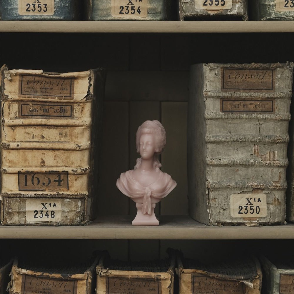 Trudon Marie-Antoinette rose bust candle on an archive shelf between aged ledgers