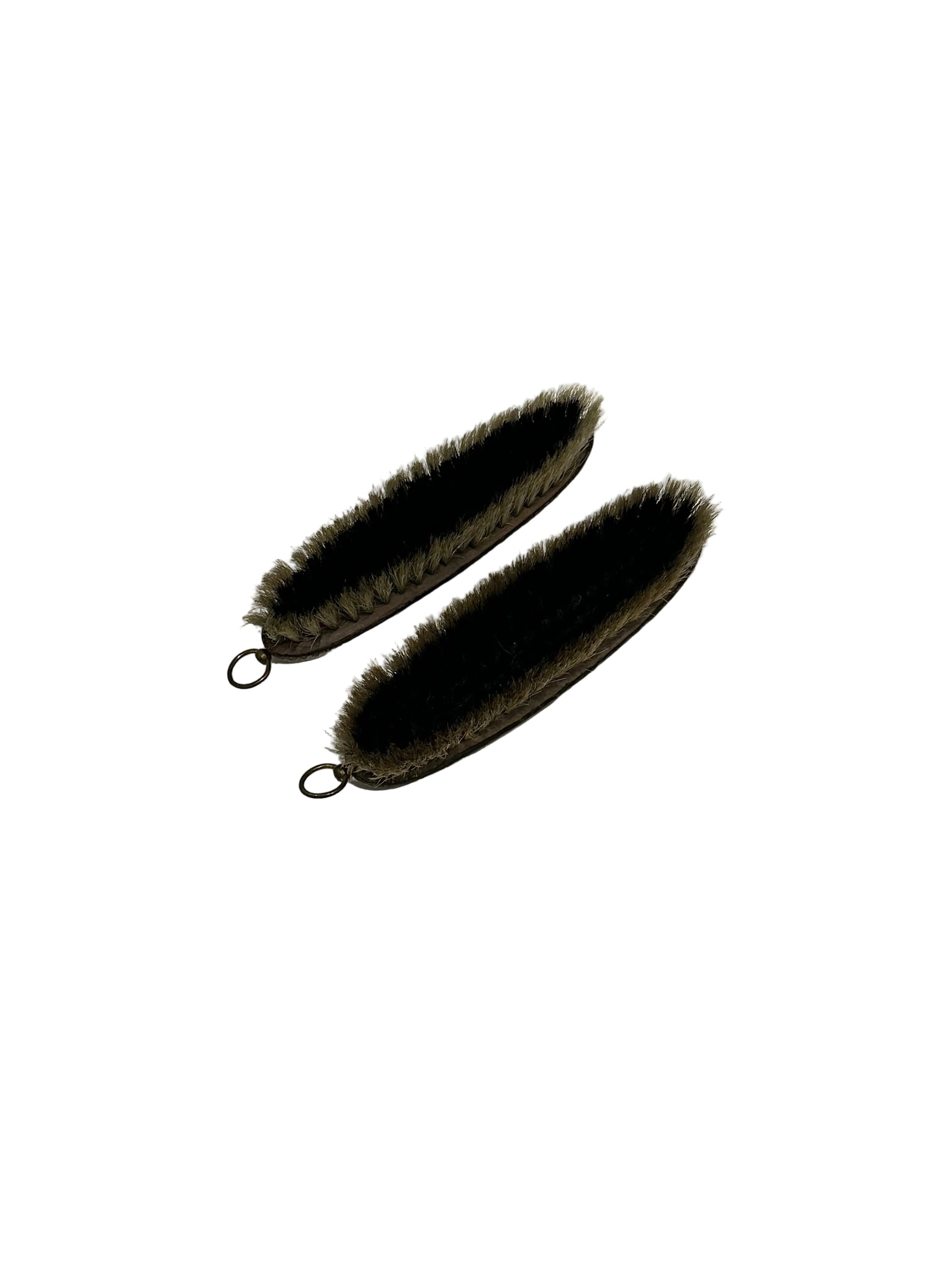 Pair of clothes-care brushes removed from cabinet, dark bristles facing up on white.