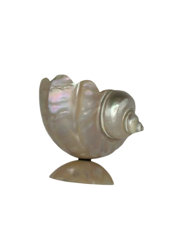 Turban shell bowl on pearl foot, opposite side showing pointed spire
