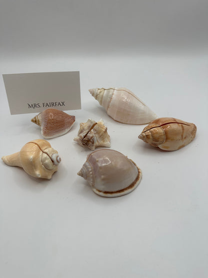Natural sea shell place card holders arranged with a place card sample