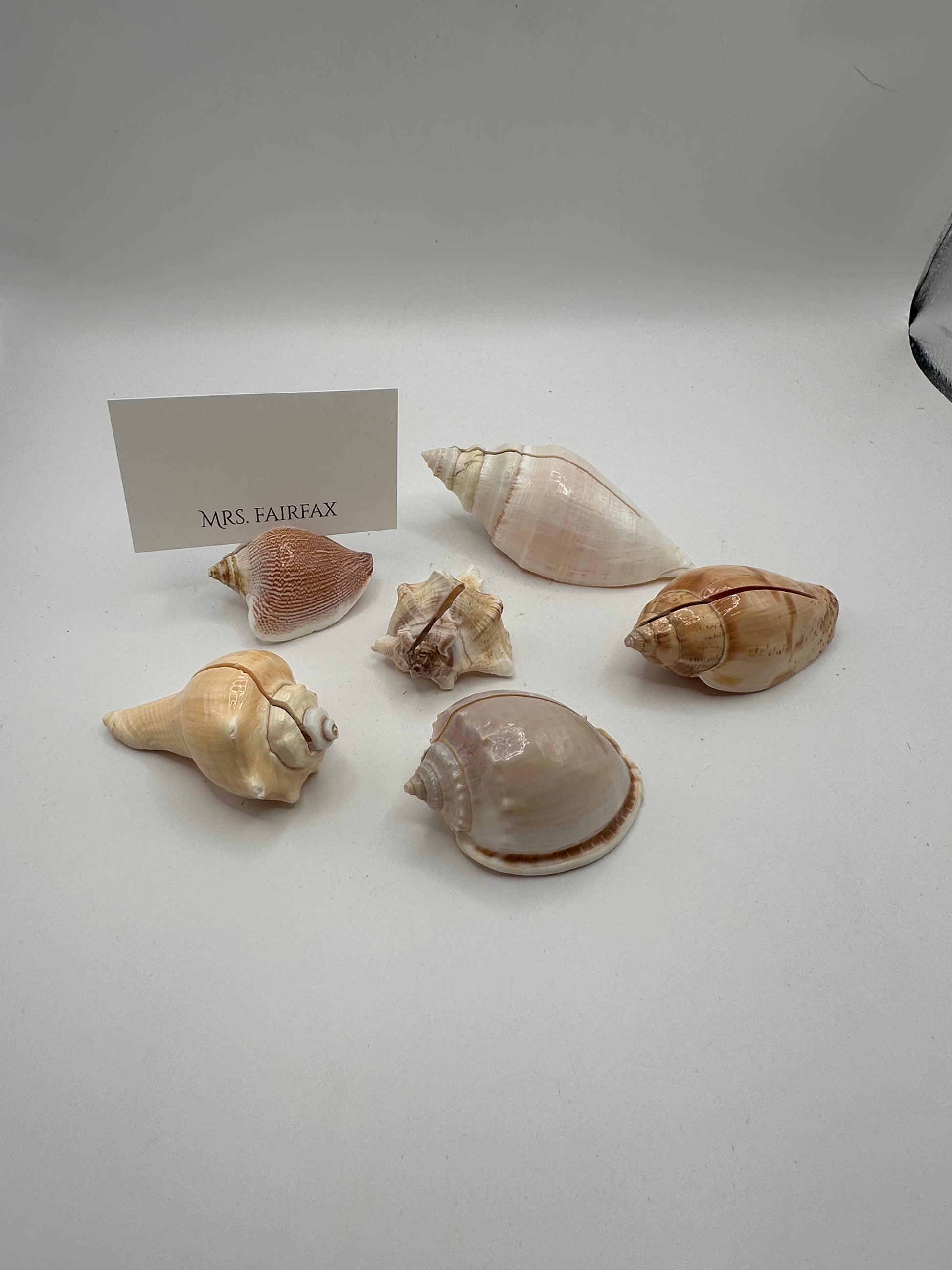 Group of natural sea shell place card holders shown with a sample place card