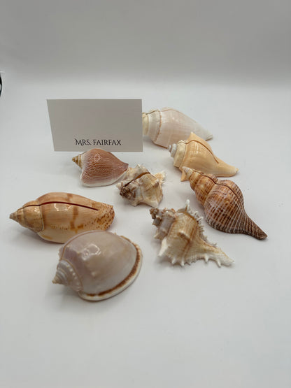 Sea shell place card holders displayed with a 'Mrs. Fairfax' card in one shell