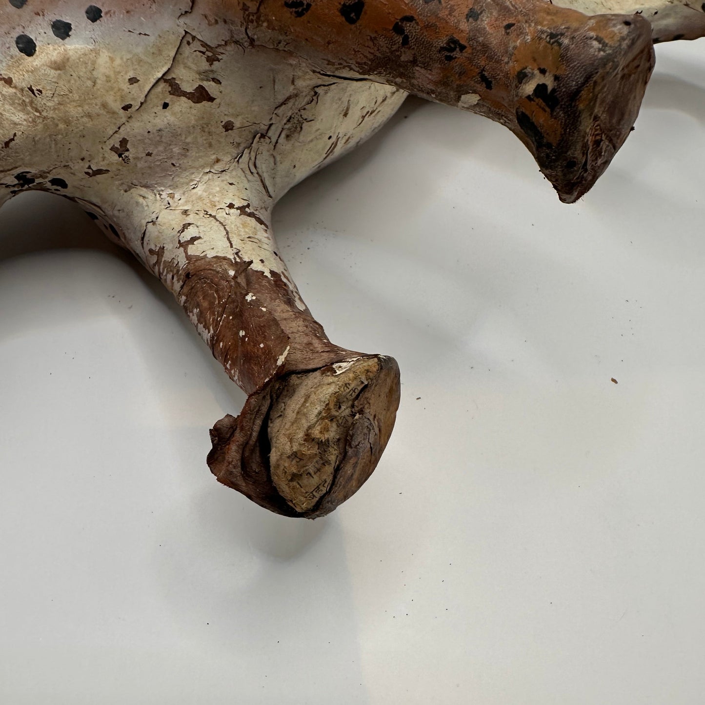 Close-up of leather leopard's worn paw and lower leg showing aged leather construction