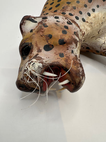 Close-up of leather leopard's snarling muzzle with white teeth and nylon whiskers