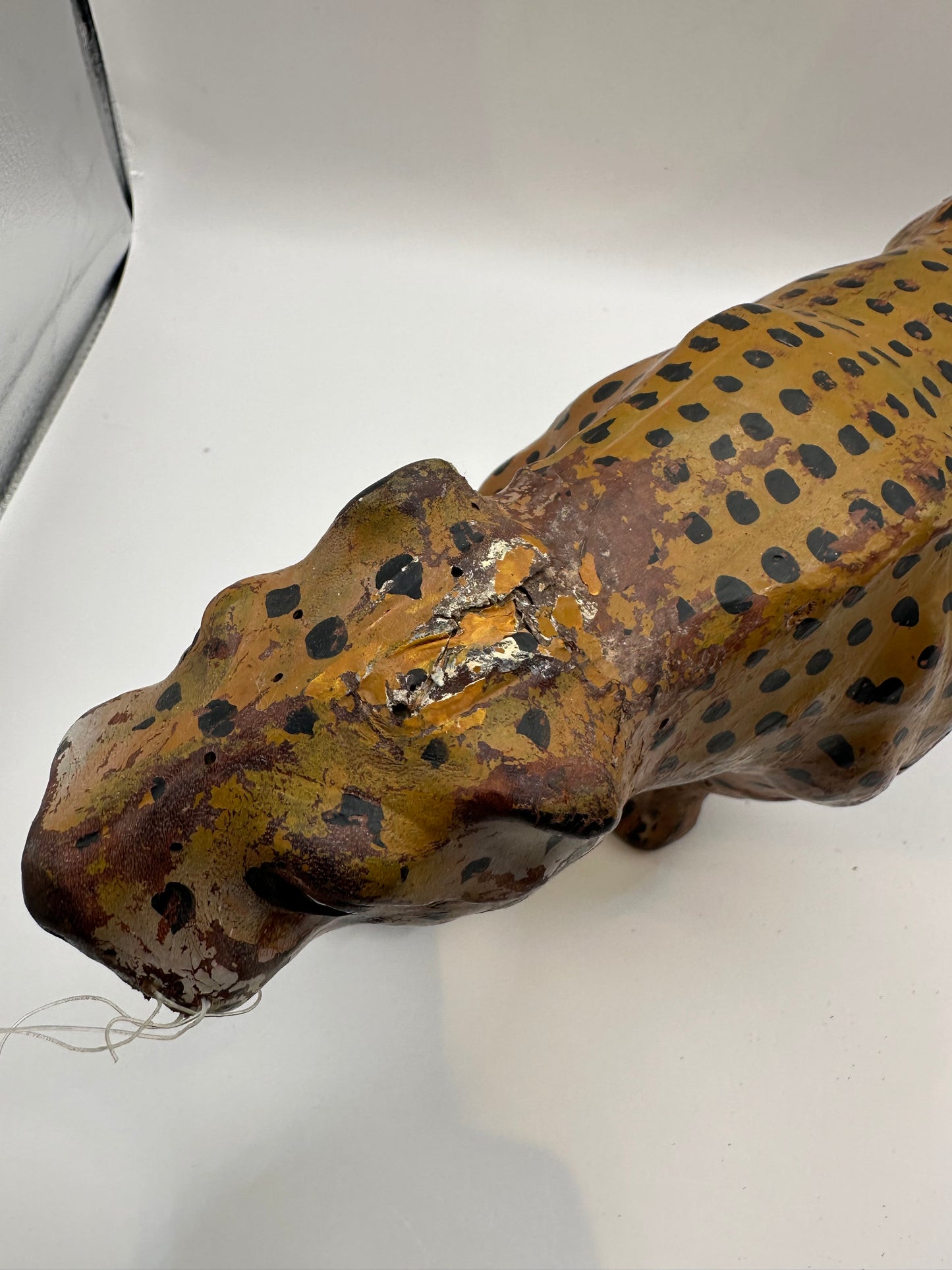 Angled view of leather leopard's head showing paint wear and exposed leather