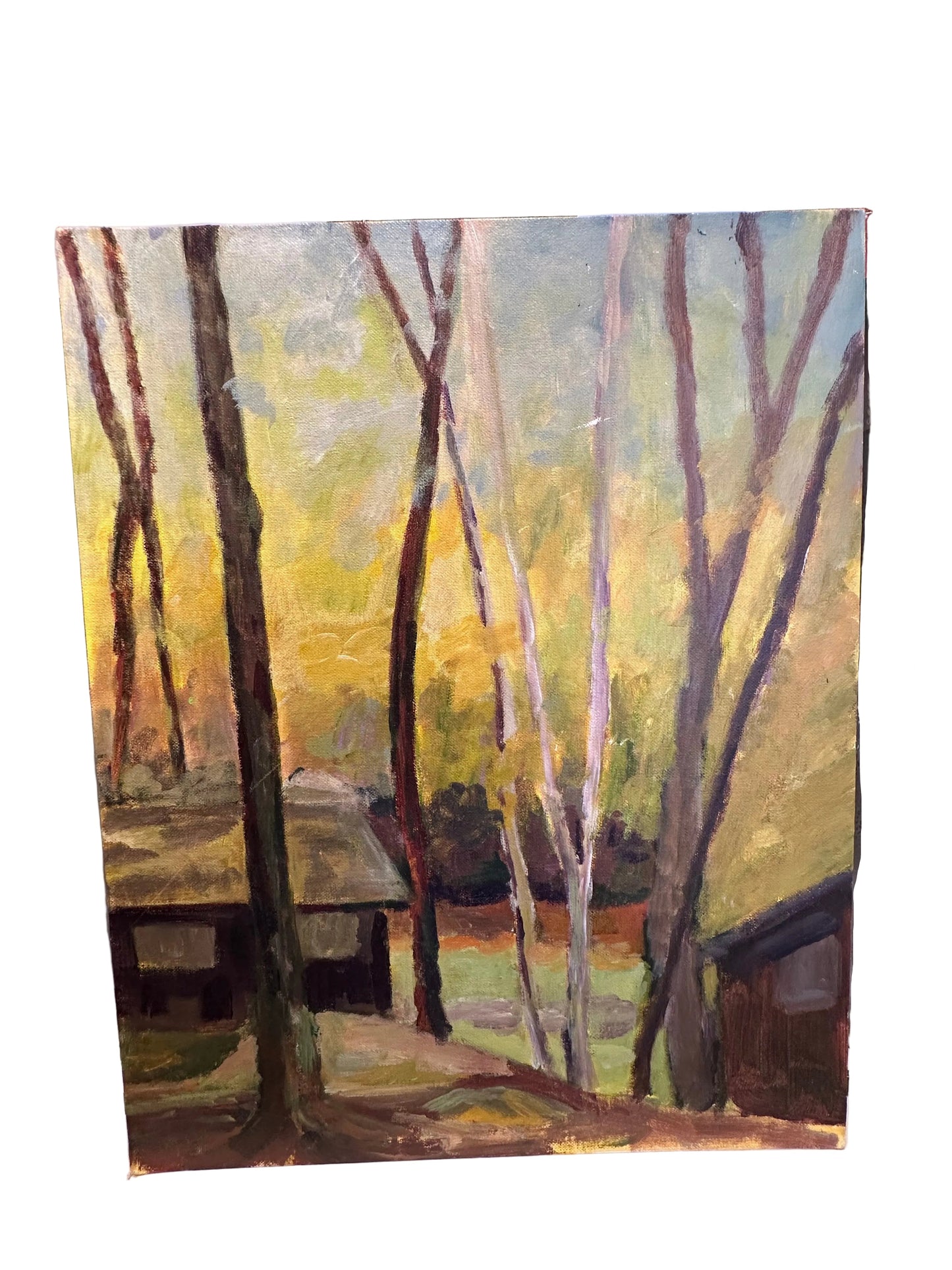 Vintage unframed acrylic landscape on canvas: autumn forest with slender trunks, golden leaves and cabins.