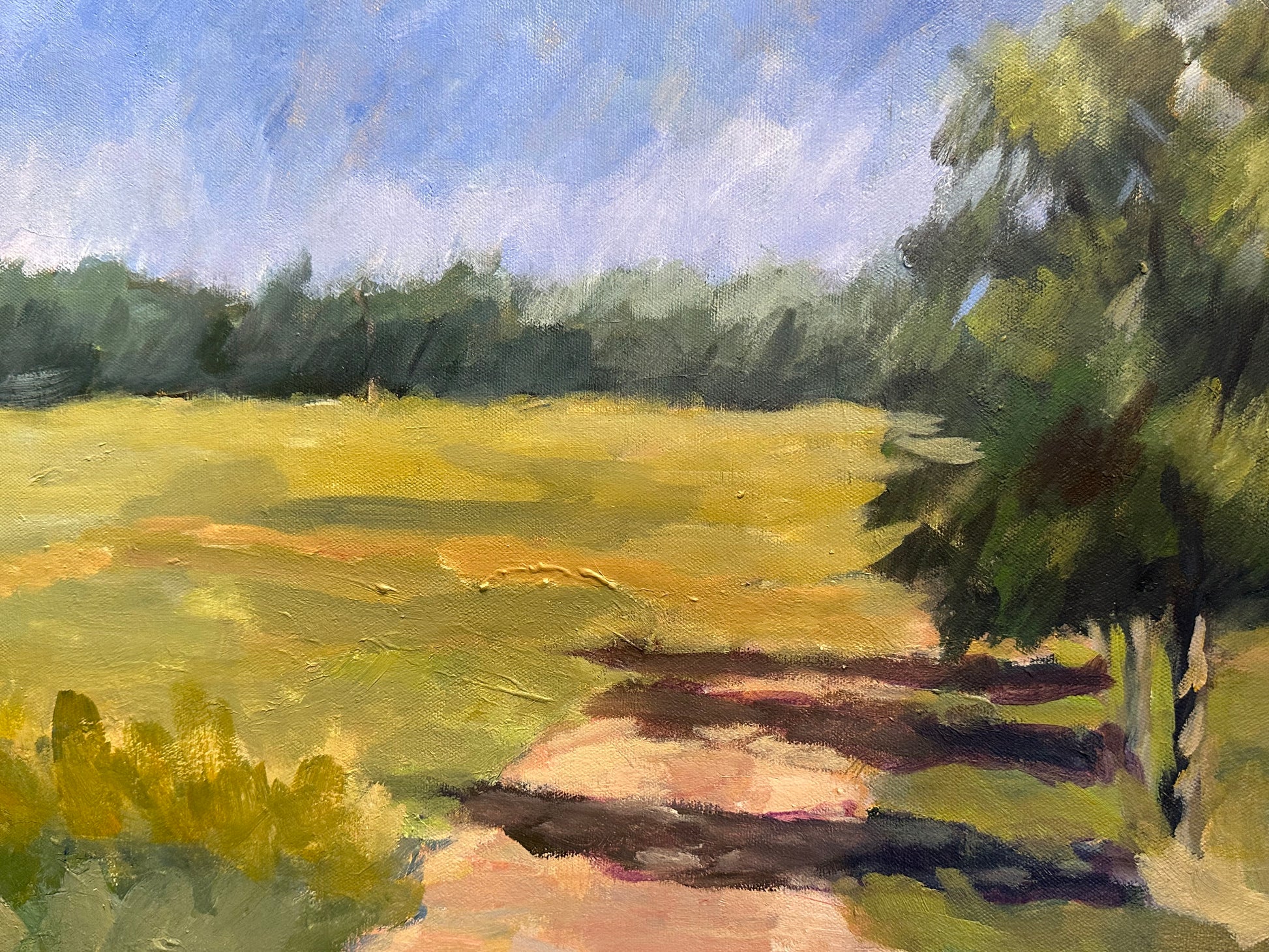 Detail of country road landscape: dirt path and a large tree casting shadows across a sunlit green field.