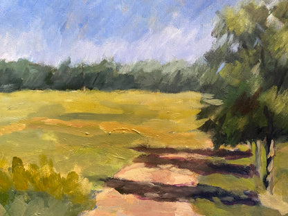 Detail of country road landscape: dirt path and a large tree casting shadows across a sunlit green field.