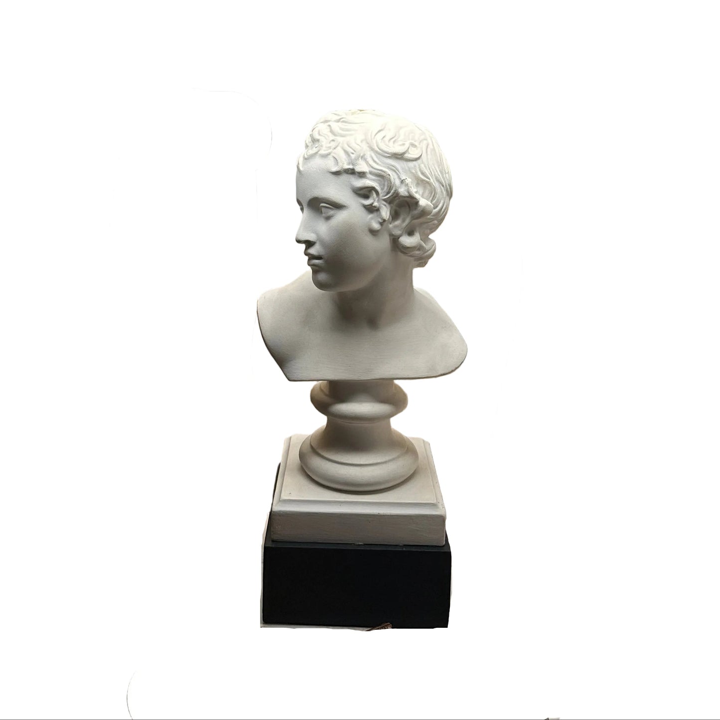 Left-profile view of the white plaster youth bust on a turned socle and black plinth base