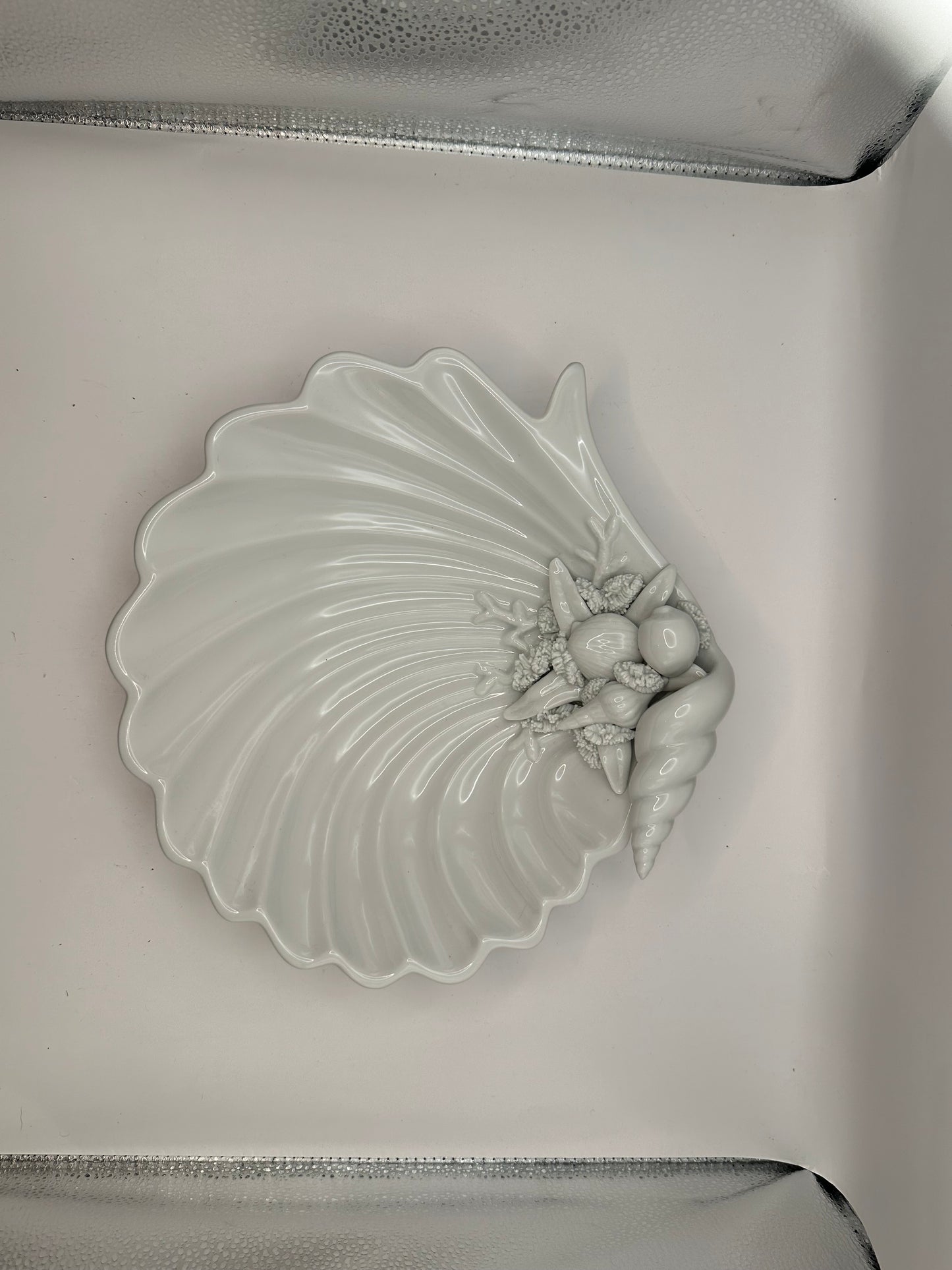 White porcelain shell dish in its box, top view with molded shell cluster