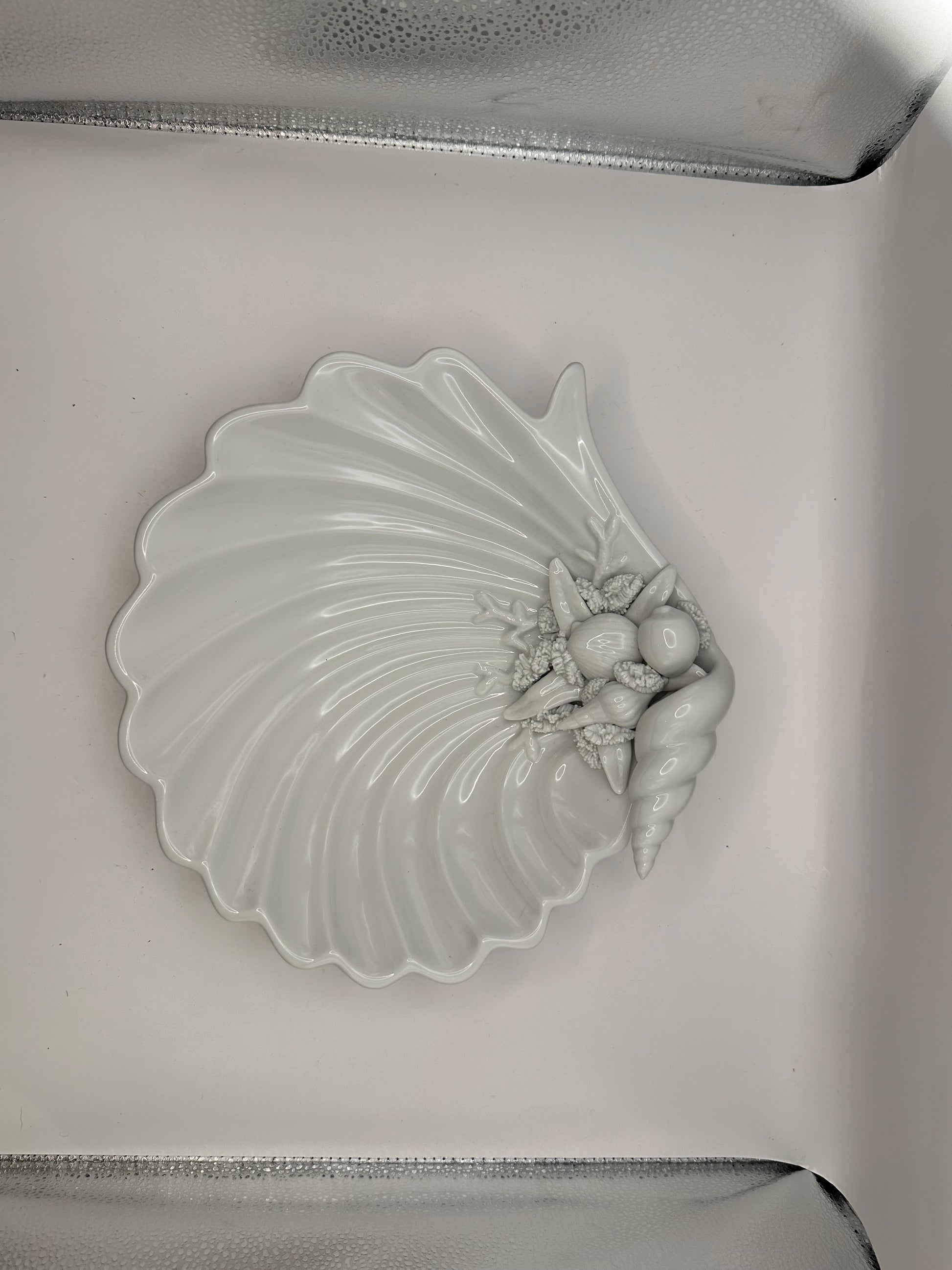 White porcelain shell dish in its box, top view with molded shell cluster