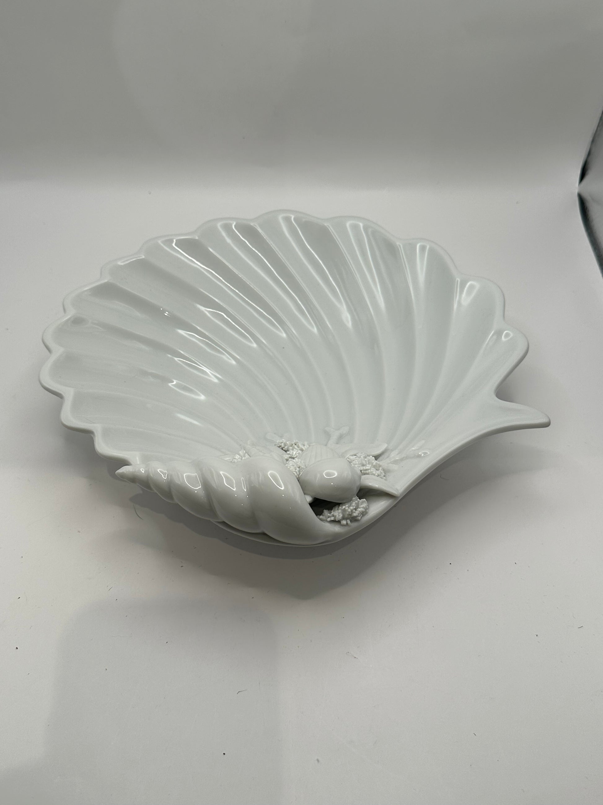 White porcelain shell dish, top view showing fluted scallop bowl and shell cluster