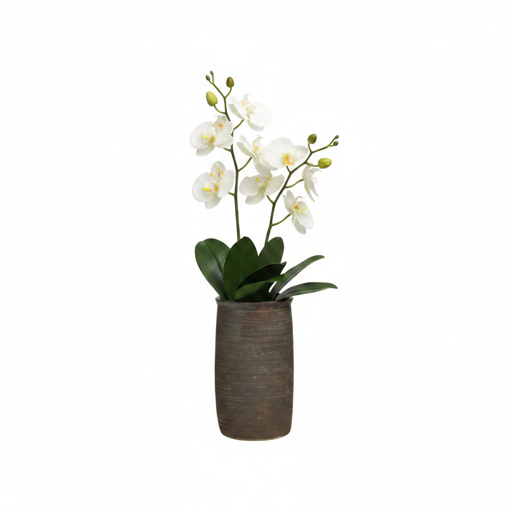 Brown ribbed cylindrical ceramic vase holding white phalaenopsis orchids, front view