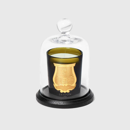 Trudon green candle with gold crest under a clear glass cloche on a black wood base