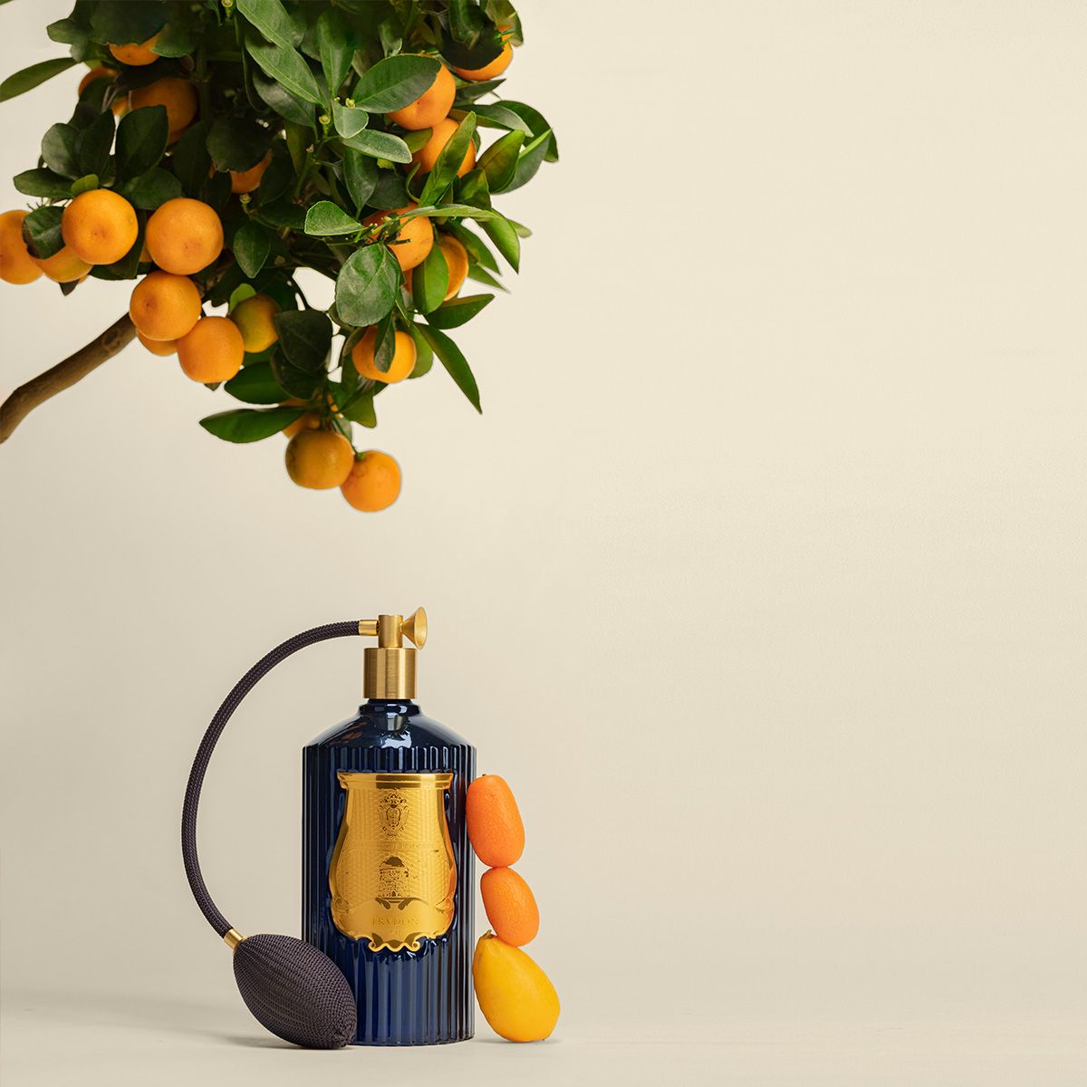 Trudon Reggio room spray styled beside a potted citrus tree and kumquats