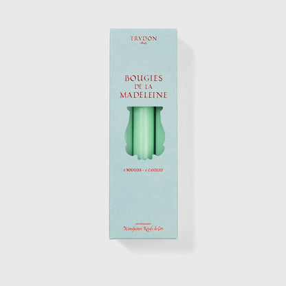 Pale aqua Trudon Madeleine box showing soft green Vert d'Eau taper candles, six count